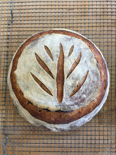 Load image into Gallery viewer, Baking Bread with Ancient Grains